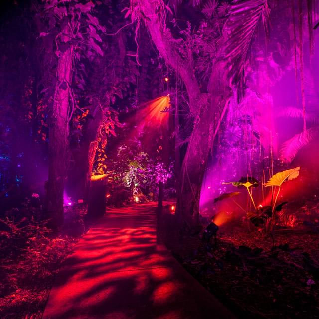 Walk through Fairchild Tropical Botanic Garden - NightGarden Miami Experience: A magical light garden