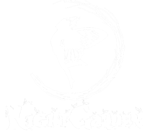 NightGarden Experience Miami